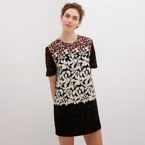 Zara floral mini dress.